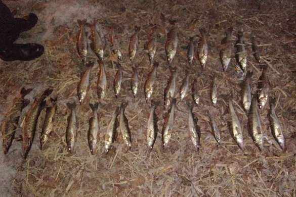 У Черкасах затримали браконьєрів, які ловили рибу на 
