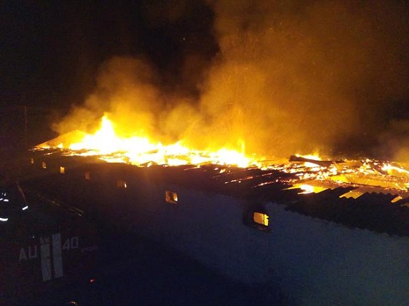 Під час пожежі на Черкащині згоріли 2000 курей