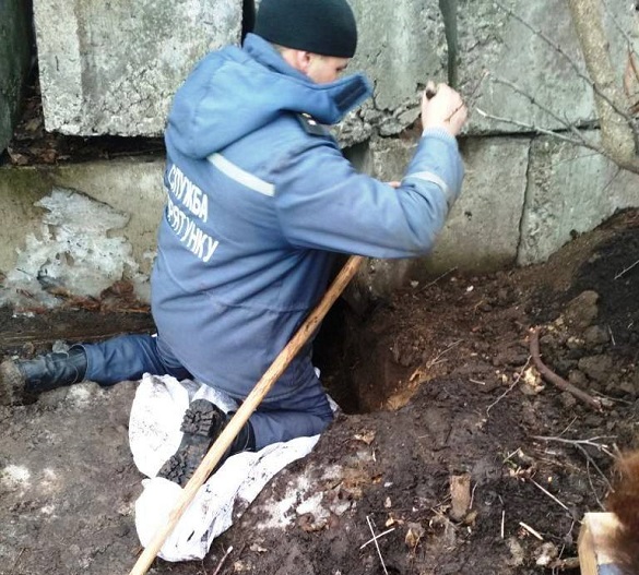 На Черкащині рятували з-під бетону новонароджених цуценят (ФОТО)