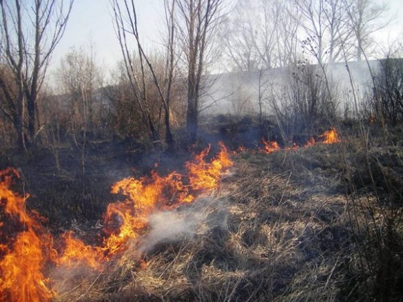 Протягом доби на Черкащині рятувальники гасили підпалену траву шість разів
