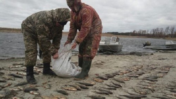 На Черкащині браконьєри наловили риби на понад 45 тисяч гривень