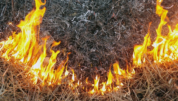 На Черкащині під час спалювання сухої трави загинув 91-річний пенсіонер