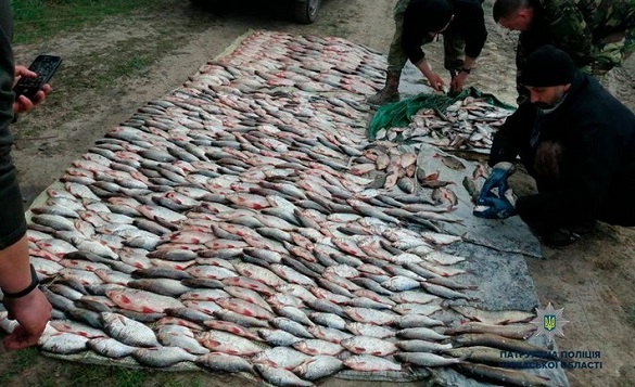 У Черкаській області браконьєри наловили риби на понад 100 тисяч гривень