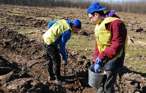 На Черкащині школярі висадили дубовий ліс на честь учасників АТО