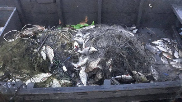 На Черкащині браконьєри сітками наловили риби на майже 50 тисяч гривень