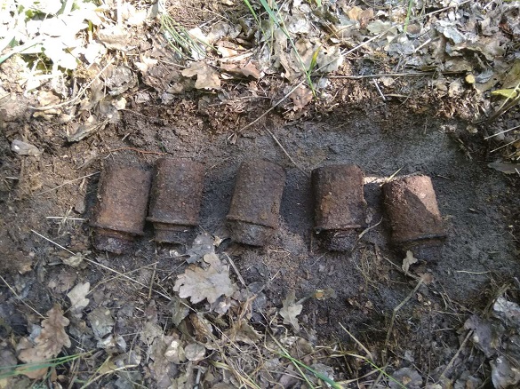 У лісосмузі під Черкасами знайшли 5 гранат часів війни
