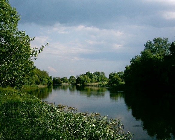 До річки Рось, яка тече і через Черкаську область зокрема, потрапила тонна хімікатів