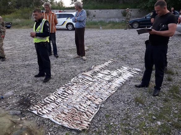 На Черкащині браконьєри наловили риби на 45 тисяч гривень