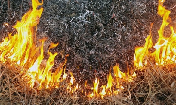 На Черкащині оголосили про надзвичайний рівень пожежної небезпеки
