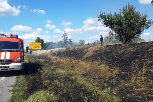 На Жашківщині поблизу траси державного значення сталася пожежа