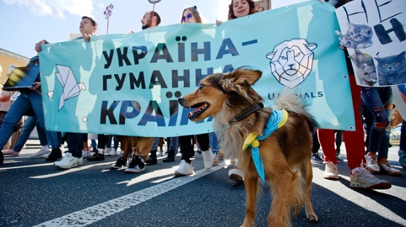 У Черкасах пройде Всеукраїнський марш за тварин