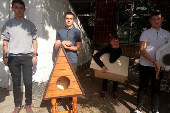 На Черкащині школярі змайстрували будиночки для безпритульних тварин
