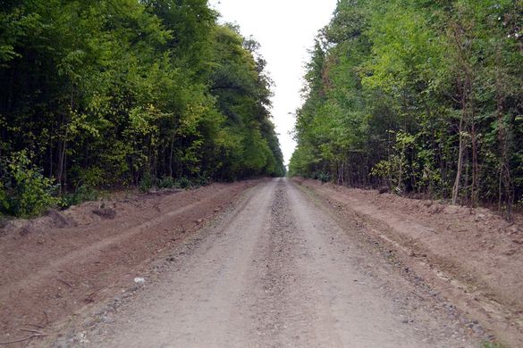 У Черкаській області будувати нові дороги взялися і лісівники