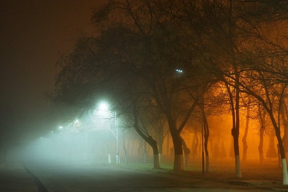 На Черкащині очікується туман