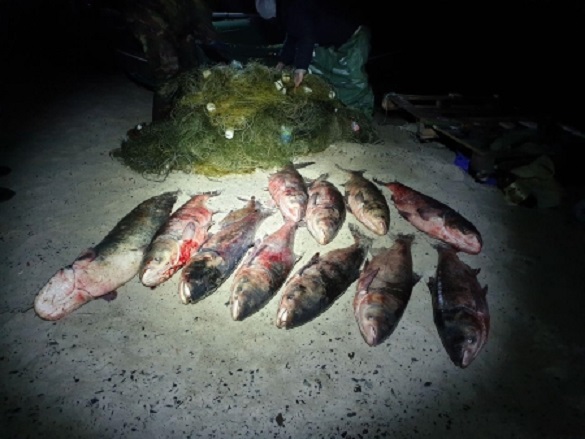 95 кілограмів риби: поблизу Черкас затримали бракон’єра