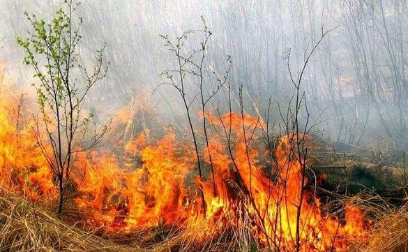 За останню добу рятувальники ліквідували 11 пожеж в Черкаській області