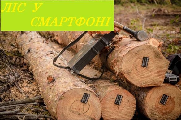 Ліс у смартфоні: на Черкащині законність вирубки лісів можна буде відслідковувати онлайн