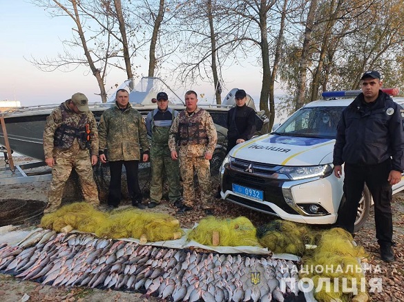 На Черкащині незаконно виловили риби на суму понад 38 тисяч гривень
