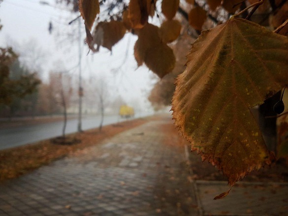 Тумани: на Черкащині погода лишається без змін