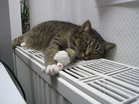 У Черкаській ТЕЦ повідомили, скільки будинків з теплом