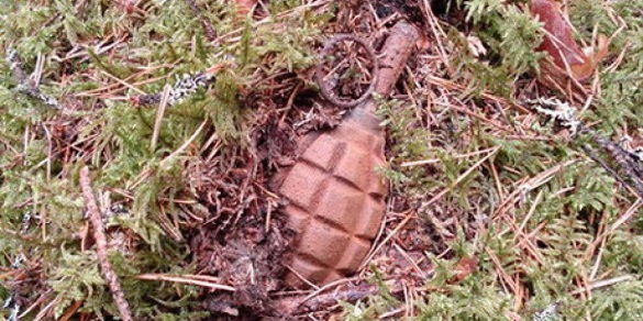 На Черкащині знайшли гранату Ф-1 часів минулих війн