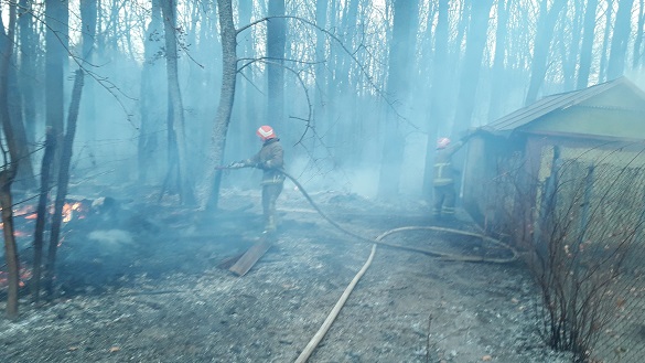Рятувальникам на Черкащині вдалося приборкати 4 пожежі на відкритих територіях