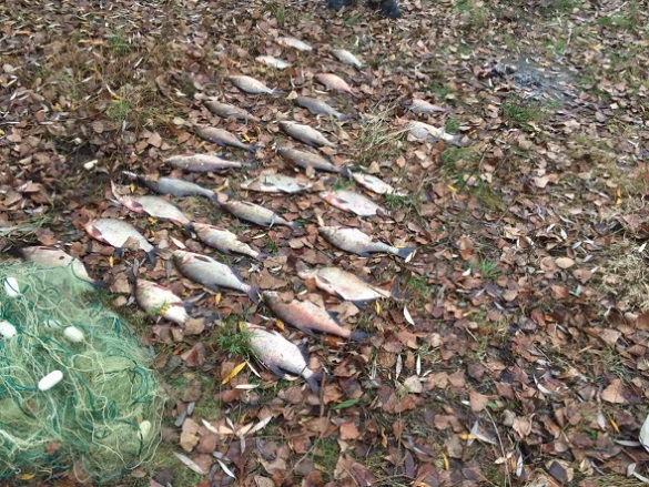 На Черкащині чоловік здійснював вилов риби забороненим знаряддям