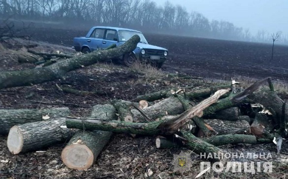 На Черкащині затримали зловмисників, які вирубували дерева (ФОТО)