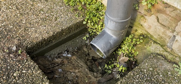 Черкасці просять заборонити приватним секторам виводити дощові каналізації з двору
