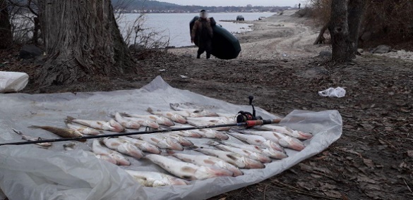 Рибалка-бракон'єр у Черкасах завдав збитків на понад 16 тисяч гривень (ФОТО)