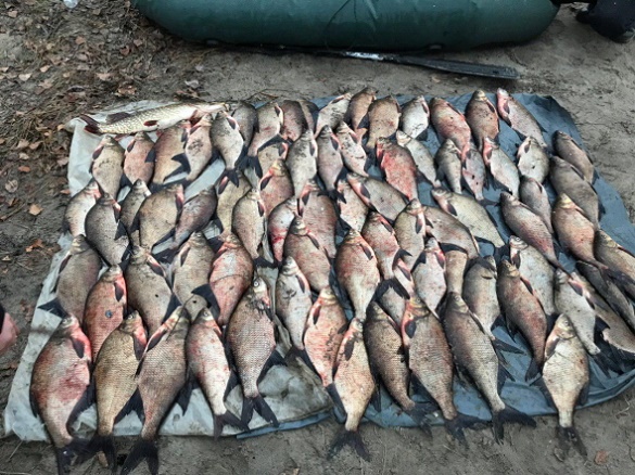 На Черкащині бракон’єр завдав збитків на понад 13 тисяч гривень (ФОТО)