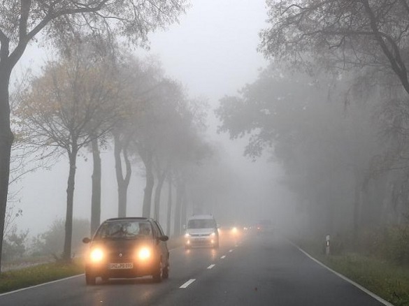 Синоптики попереджають про тумани на Черкащині