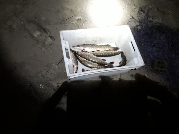 Бракон'єр на Черкащині незаконно виловлював рибу (ФОТО)