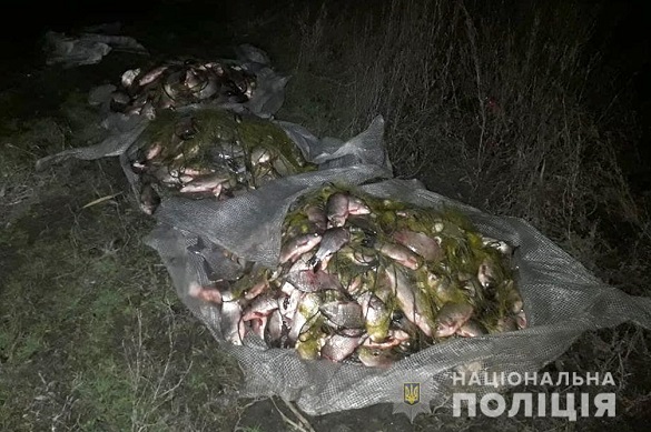 Чоловіки на Черкащині виловили понад 680 рибин карася (ФОТО)
