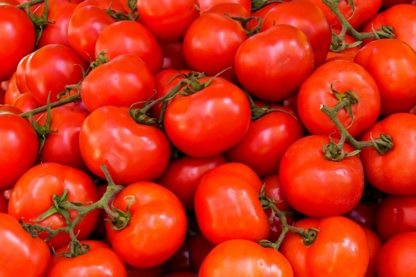 Черкащан мало не нагодували помідорами з міллю