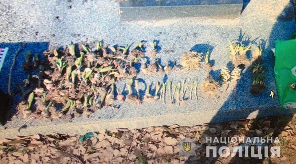 Жінка на Черкащині викопувала квіти на кладовищі, щоб посадити їх вдома (ФОТО)