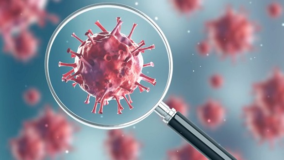 Дослідження над антитілами, які блокують коронавірус, проведуть у Черкасах