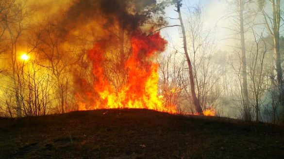 Пекельні вихідні: на Черкащині ліквідували майже 100 пожеж