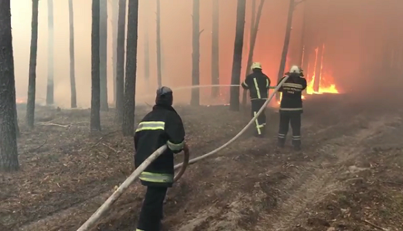 Тридцять черкаських рятувальників допомагають ліквідувати масштабну пожежу лісу в Житомирській області (ВІДЕО)
