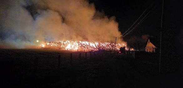 Під час пожежі на Черкащині згоріло 300 свиней