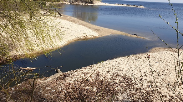 У Черкасах знову виявили несанкційований скид неочищених стічних вод (ФОТО)