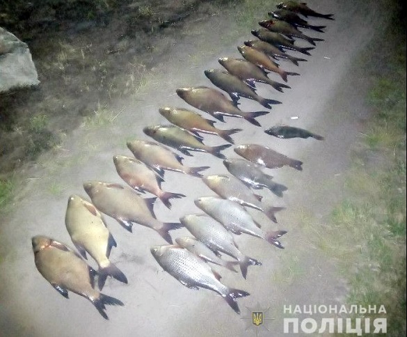 У браконьєрів на Черкащині, які ловили рибу сітками, знайшли ще й гвинтівку з глушником (ФОТО)