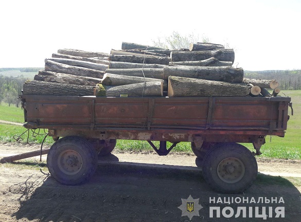 Чоловіки на Черкащині незаконно вирубали два причепа деревини (ФОТО)