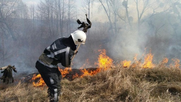 За гасіння пожежі у лісах Чорнобиля: у Черкасах влада нагородить рятувальників грамотами