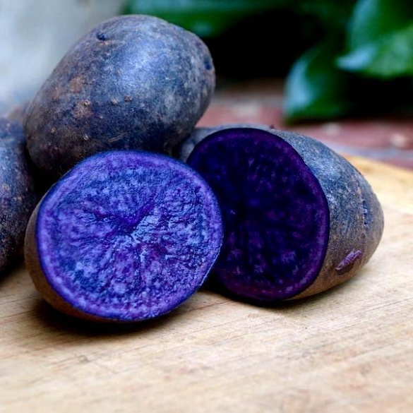 Канівчанка вирощує картоплю червоного та фіолетового кольору