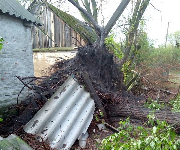 Зламані дерева, побиті паркани та зірвані дахи: у селах на Черкащині вирувала негода (ФОТО)