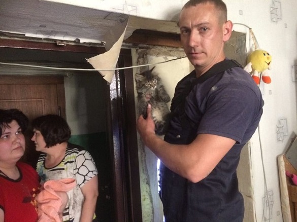 Із вентиляційного каналу в Черкасах рятували кота (ФОТО)