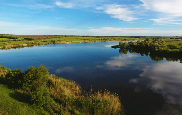У Черкаській області оголосили два об’єкти природно-заповідного фонду