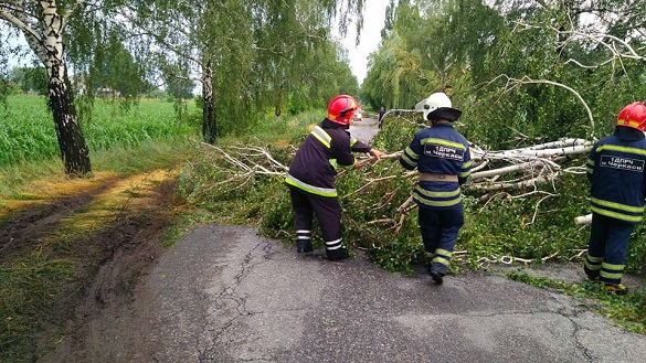 Внаслідок негоди дорогу на Черкащині завалило деревами (ФОТО)