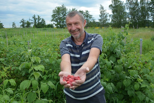 Переселенець з Донецька на Черкащині вирощує малину (ФОТО)